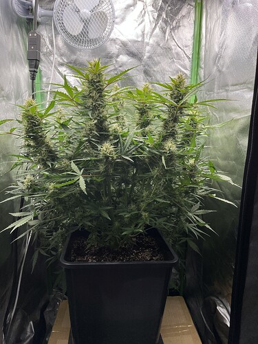Growreport Bild 11