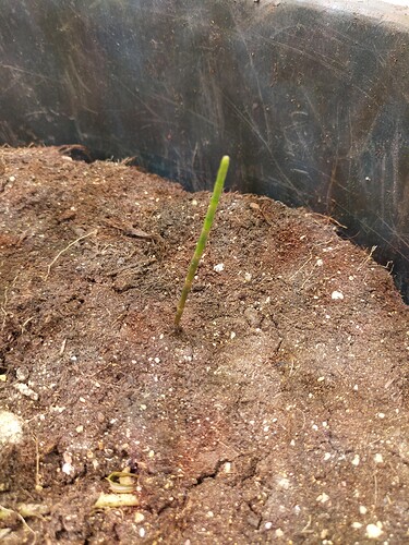 Growreport Bild 5