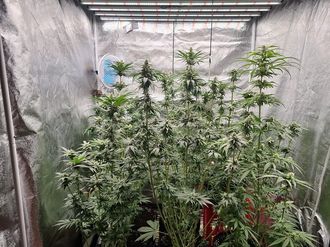 Growreport Bild 9
