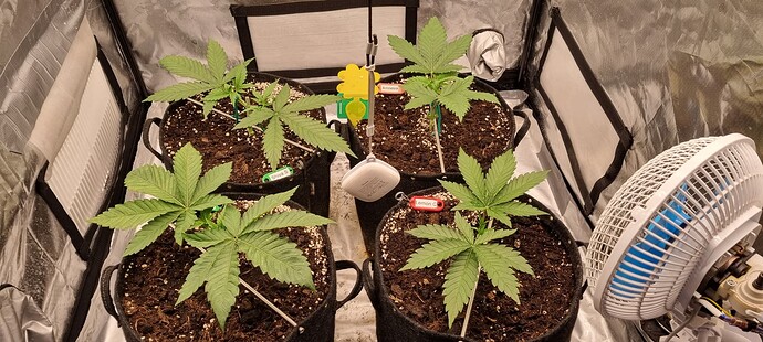 Growreport Bild 16