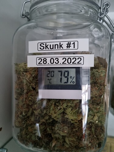 Growreport Bild 1