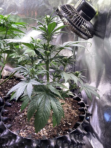 Growreport Bild 15