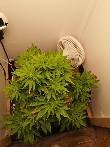 Growreport Bild 2
