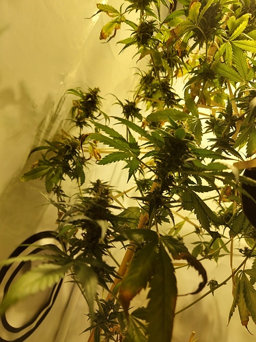 Growreport Bild 14