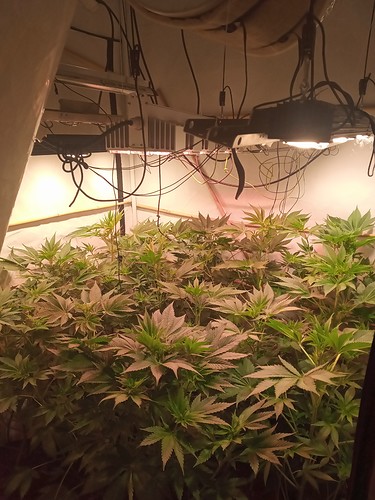 Growreport Bild 11