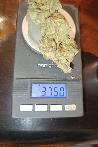 Growreport Bild 11