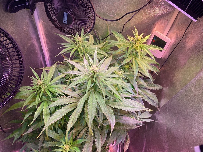 Growreport Bild 21