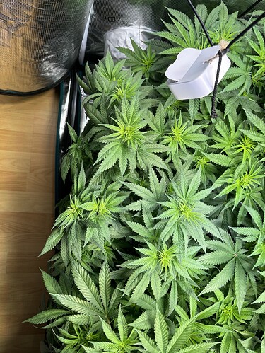 Growreport Bild 15