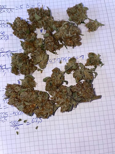Growreport Bild 8