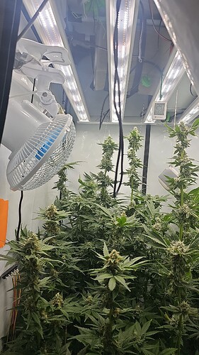 Growreport Bild 11