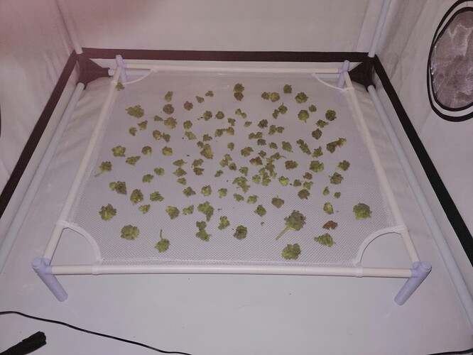 Growreport Bild 1