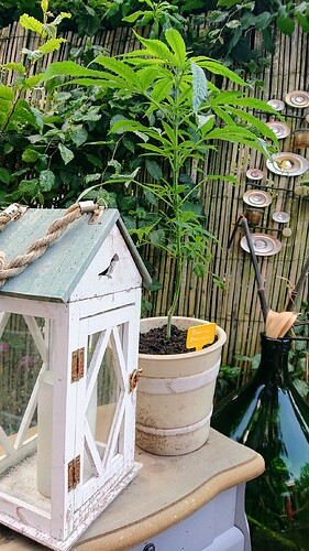 Growreport Bild 16