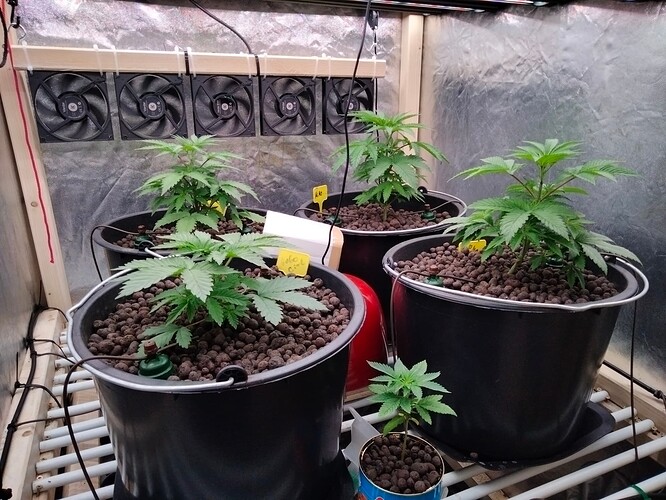 Growreport Bild 3