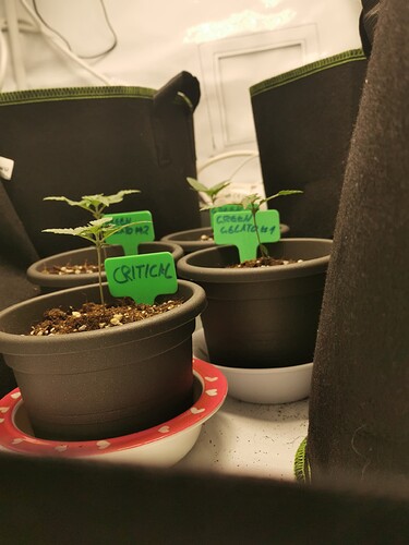 Growreport Bild 10