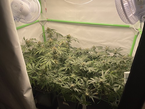 Growreport Bild 10