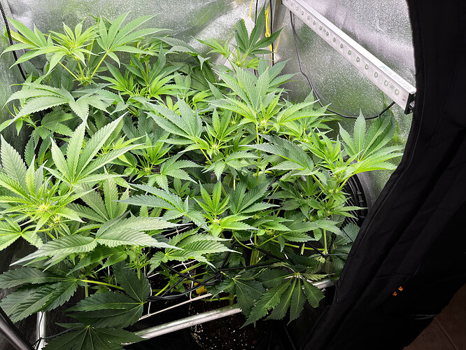 Growreport Bild 24