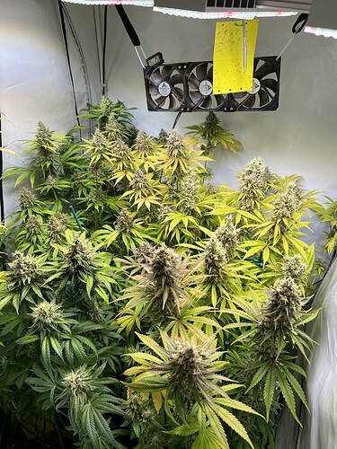 Growreport Bild 2