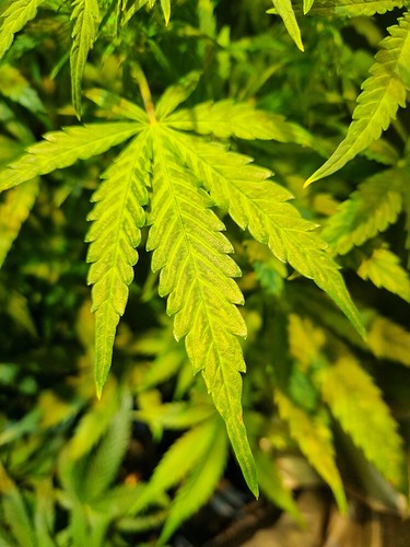 Growreport Bild 24