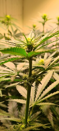 Growreport Bild 10