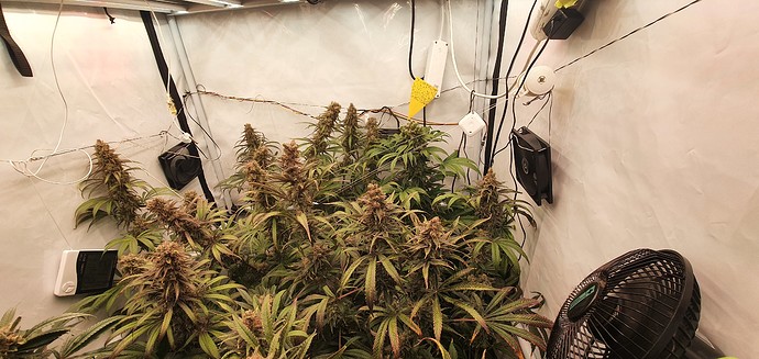Growreport Bild 15