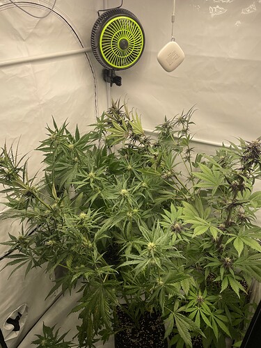 Growreport Bild 2