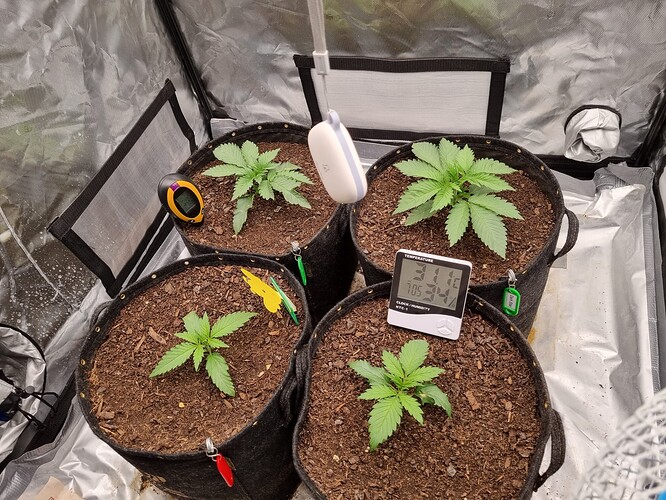 Growreport Bild 4