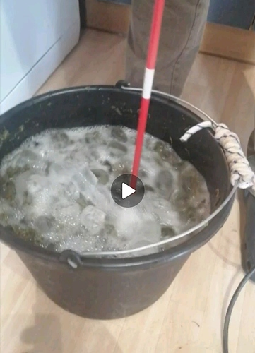 Growreport Bild 1