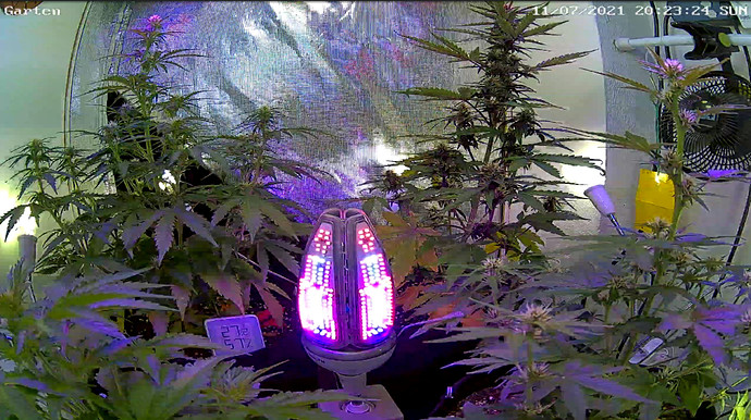 Growreport Bild 14