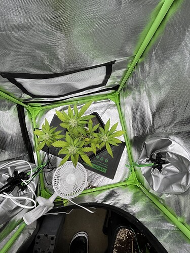 Growreport Bild 14
