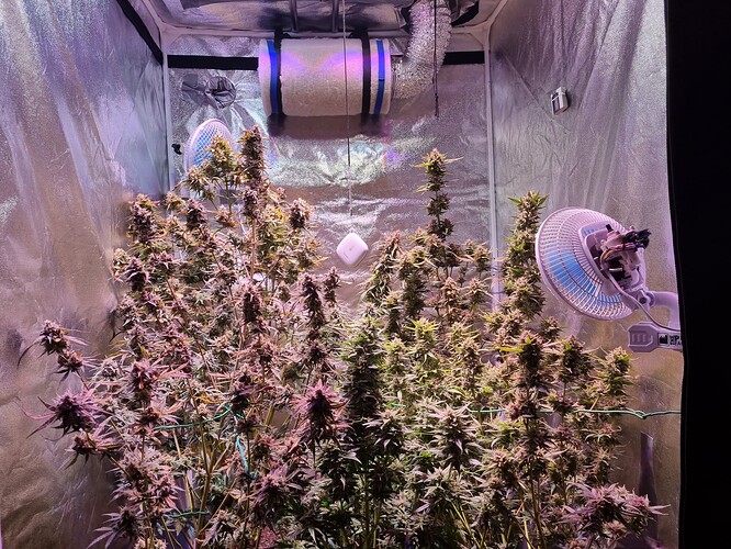 Growreport Bild 9
