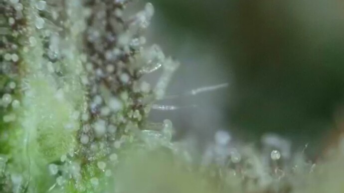 2022-06-25-033036106