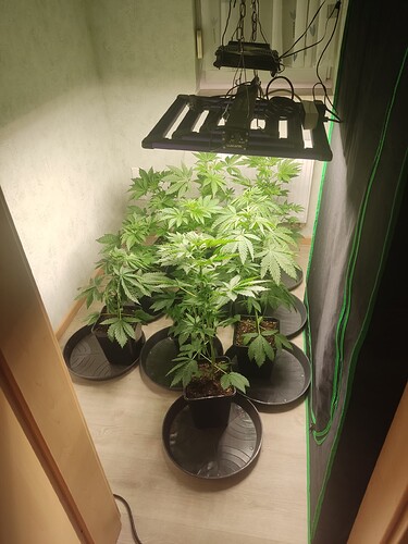 Growreport Bild 10