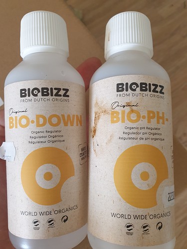 Growreport Bild 10