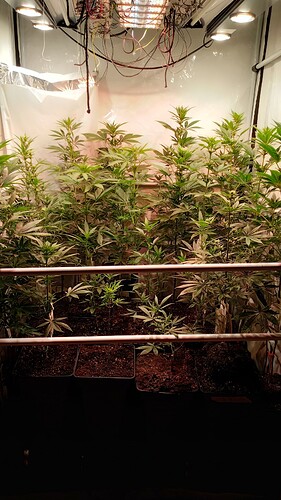 Growreport Bild 21