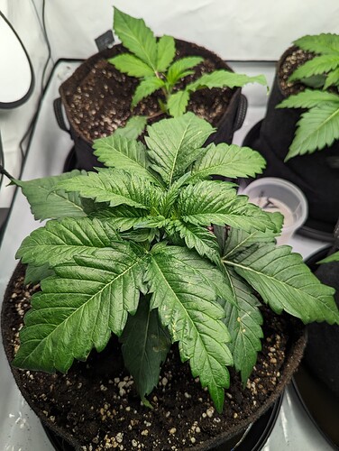 PXL_20231110_132422978