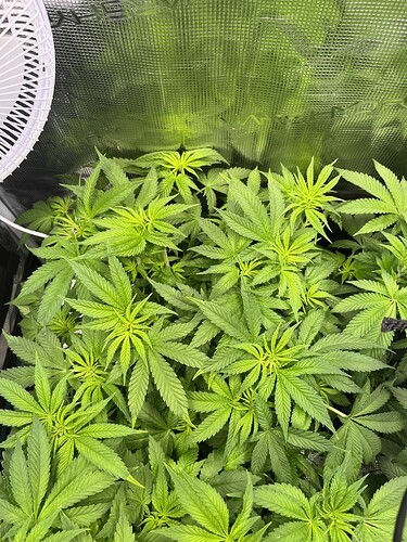 Growreport Bild 1