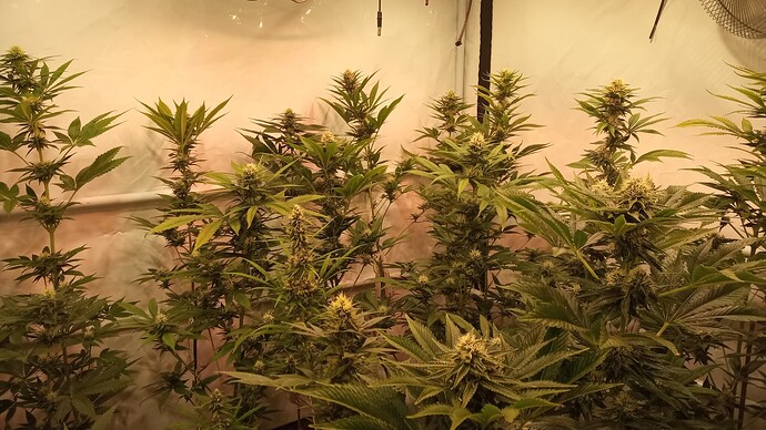 Growreport Bild 19