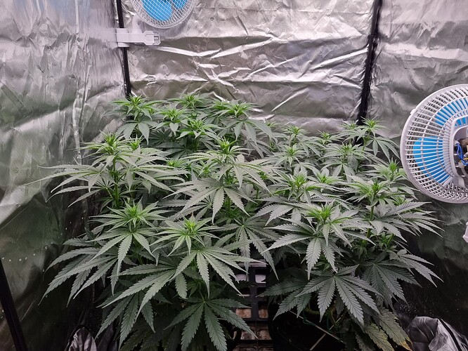 Growreport Bild 14