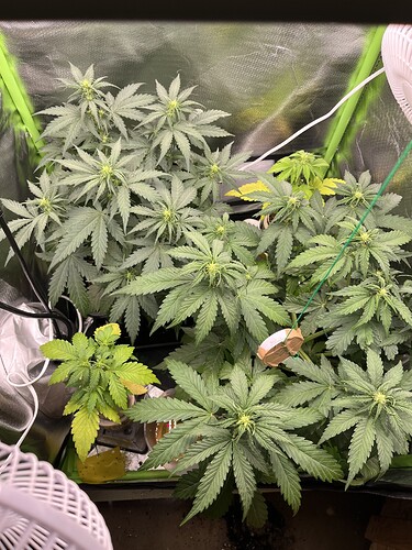 Growreport Bild 13