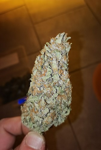 Growreport Bild 3