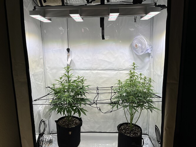 Growreport Bild 25