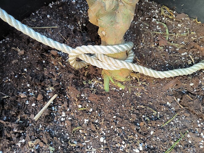Growreport Bild 6