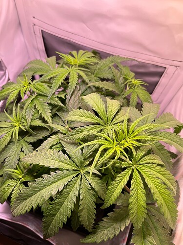 Growreport Bild 2
