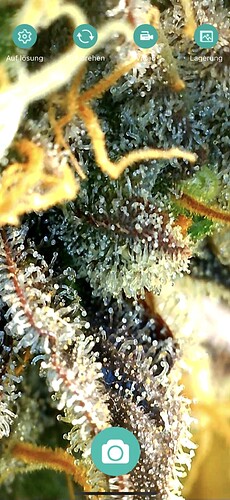 Growreport Bild 6
