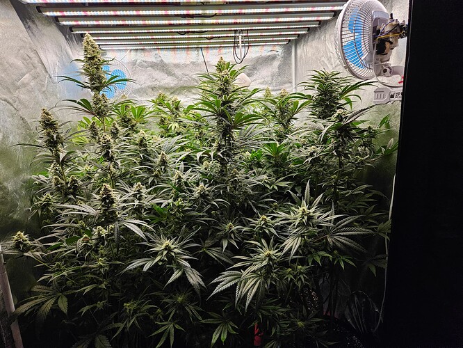 Growreport Bild 9