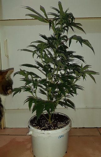 Growreport Bild 5
