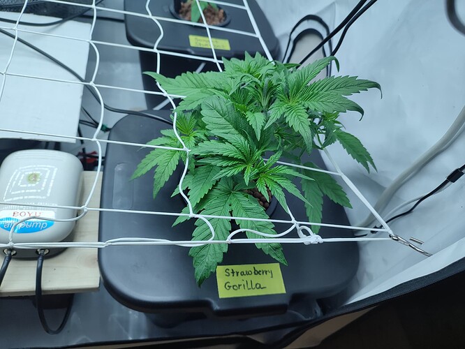 Growreport Bild 23