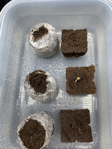 Growreport Bild 14