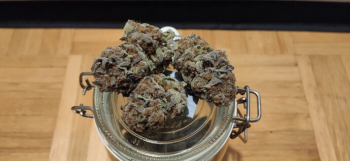Growreport Bild 1
