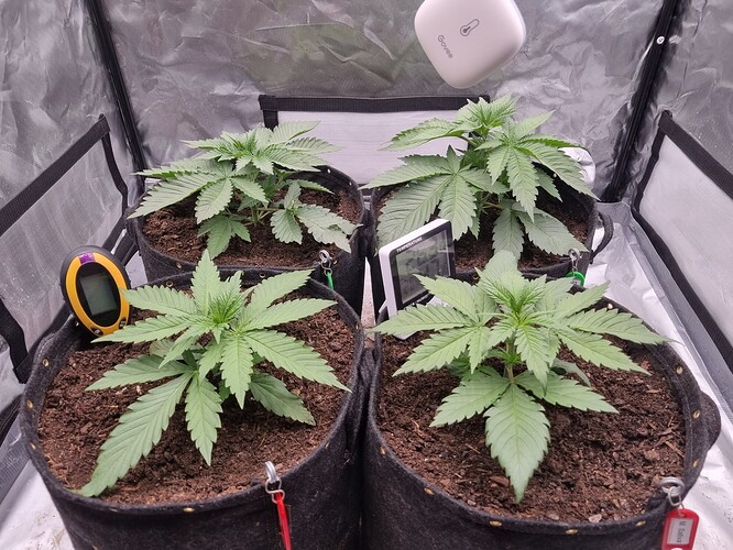 Growreport Bild 24